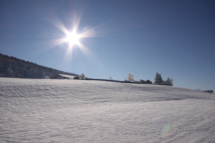 Lac de Joux - 026